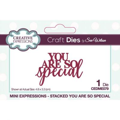 Creative Expressions Mini Expressions Craft Die Stacked - You Are So Special